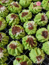Pandan Gula Melaka Cookies – A Fragrant Fusion of Local Flavours